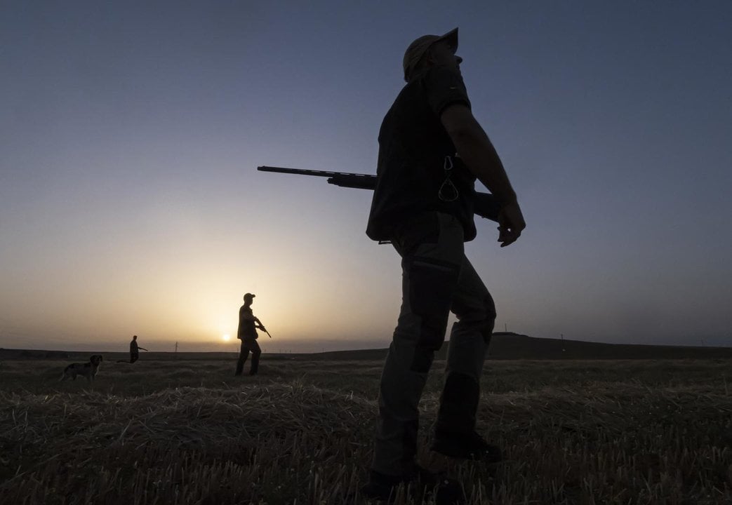 Varios cazadores, durante una jornada de caza el primer día de inicio de la media veda en Castilla y León, en Olmedo, a 15 de agosto de 2021, en Valladolid, Castilla y León (España). La media veda arranca este domingo en Castilla y León con una nueva Ley de Caza, que entró en vigor este lunes 9 de agosto. Será el marco de referencia para todos los cazadores y titulares cinegéticos durante esta media veda, en la que no se podrá cazar la tórtola común o europea. La media veda se extenderá hasta el 19 de septiembre.,Image: 627132385, License: Rights-managed, Restrictions: , Model Release: no, Credit line: Photogenic/Pablo Requejo / Europa Press / ContactoPhoto