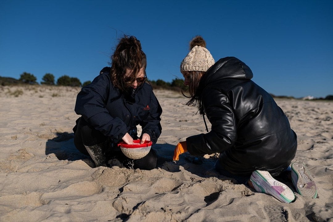 Voluntarios hacen una recogida de pellets de la arena, Galicia, a 7 de enero de 2024, en A Coruña, Galicia (España). Grandes cantidades de pellets de plásticos llevan apareciendo, desde el 13 de diciembre en las Rías Baixas y en la ría de Muros de Noia en más de 70 bolsas de alrededor de 25 kilos, con el nombre de la empresa Bedeko Europe con sede en Polonia. Así lo ha informado la Asociación Noia Limpa, que ha detallado que se reportó la pérdida de mercancía de seis contenedores del buque Tocomao, registrado con el número IMO 9627899 y con bandera de Liberia, cerca de Viana do Castelo, en Portugal. Los pellets son pequeñas bolas de plástico de menos de cinco milímetros que son empleadas para fabricar productos de plástico, por su pequeño tamaño y peso ligero, es "casi imposible limpiarlos" una vez que se esparcen por las playas.
07 ENERO 2024;PELLET;CONTAMINACIÓN;PLÁSTICO;
Elena Fernández / Europa Press
07/1/2024