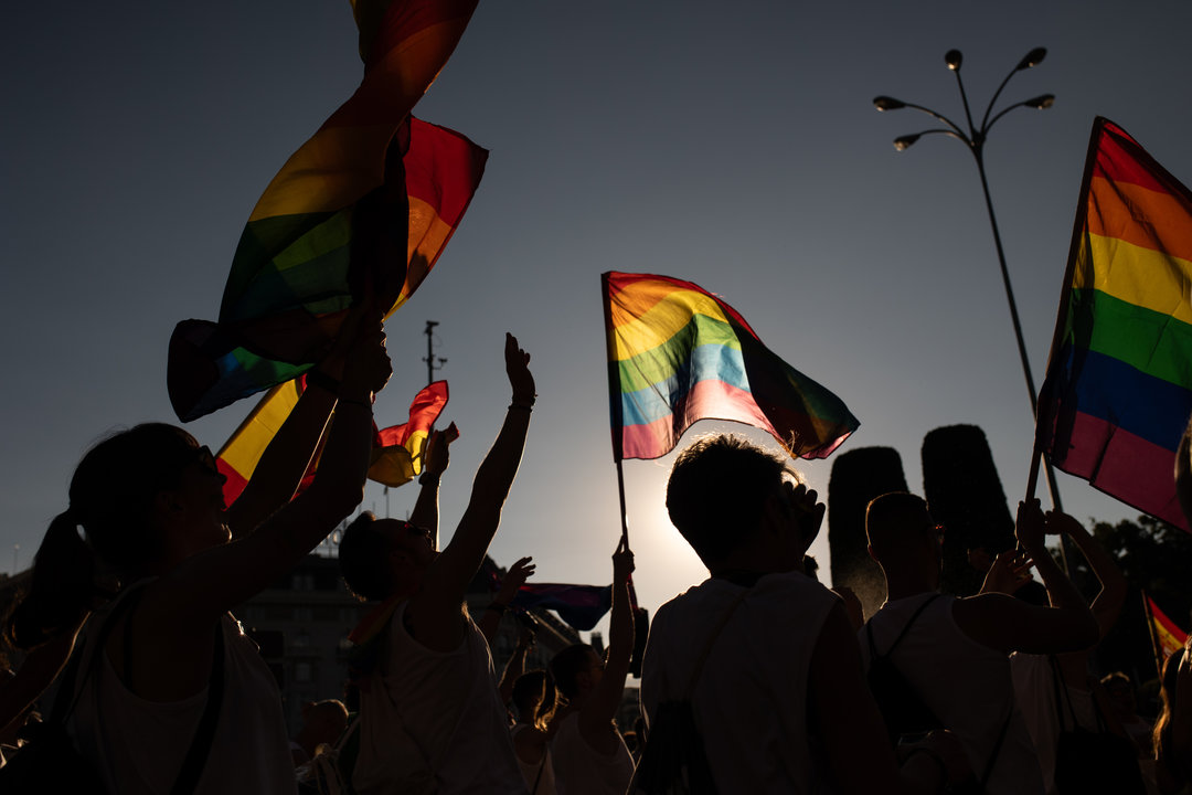 EuropaPress_6075439_varias_personas_banderas_lgtbi_manifestacion_estatal_orgullo_lgtbi_2024