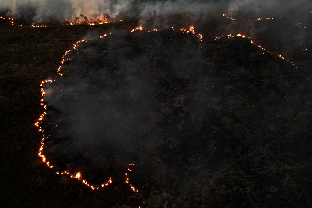 Estado de Goias, septiembre de 2024 — Lucio Tavora / Xinhua News / ContactoPhoto